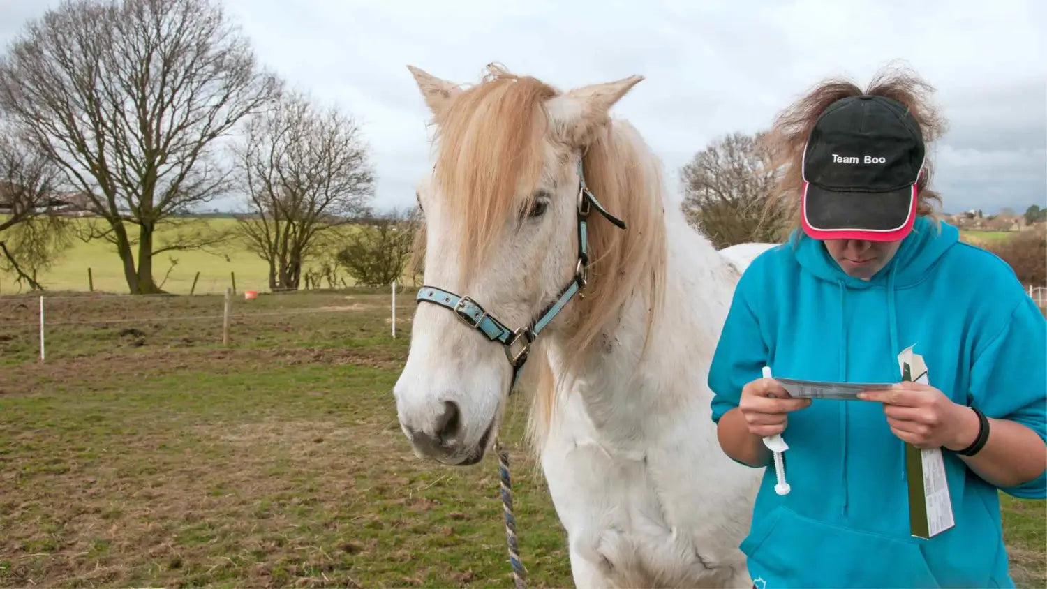 The Silent Threat: What to Know About Worms and Worming