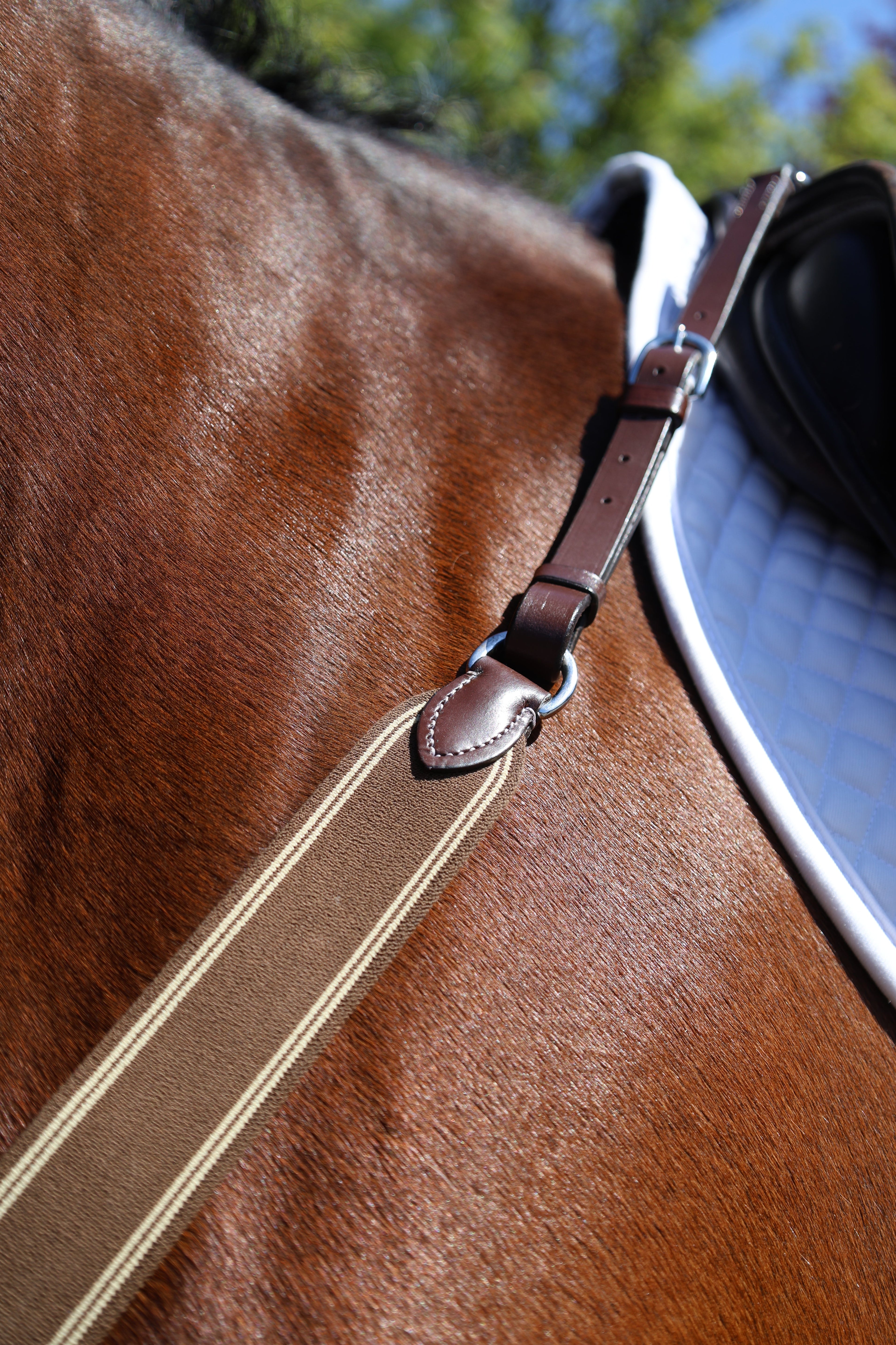 Tesoro Breastplate
