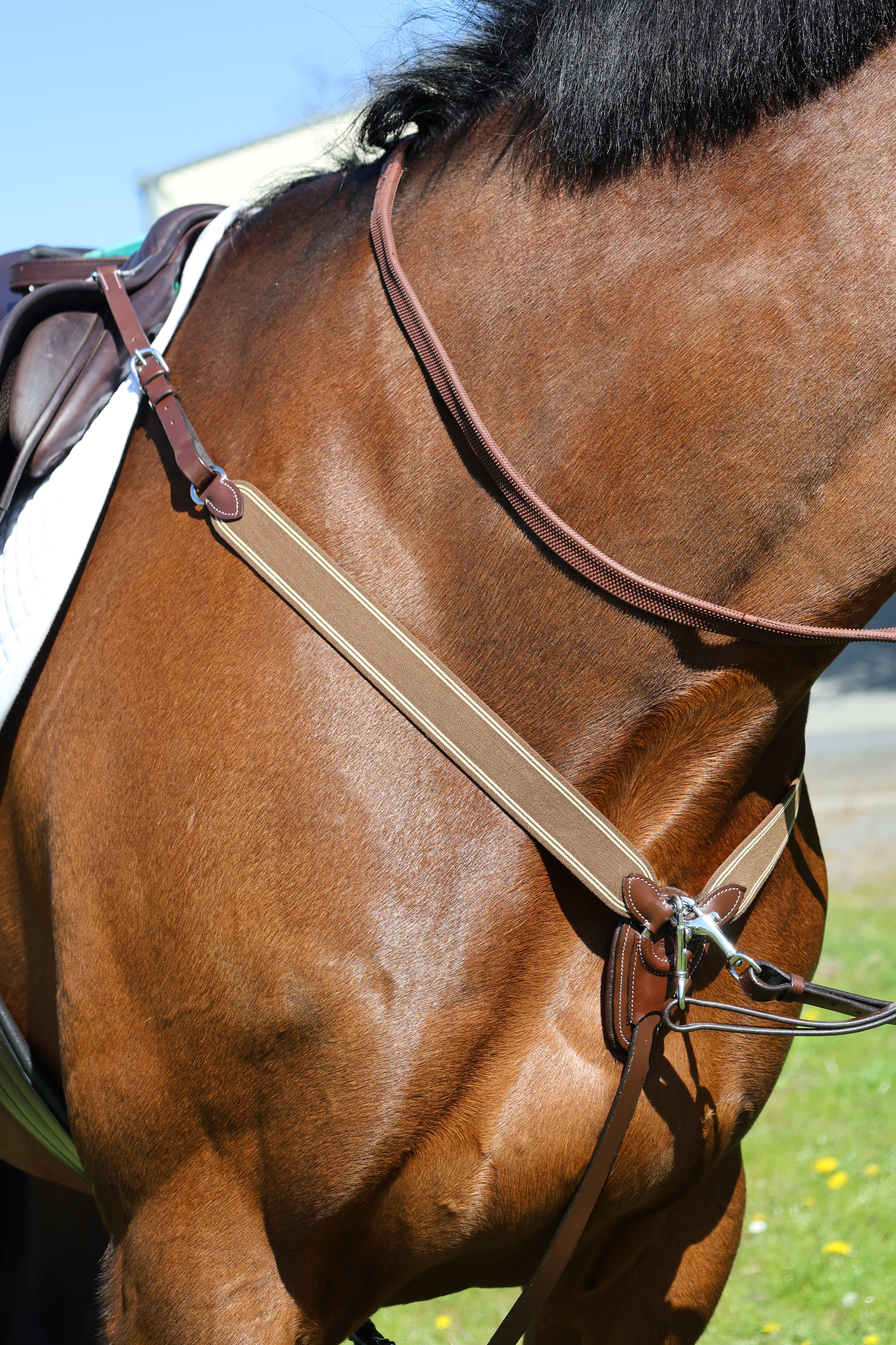 Tesoro Breastplate
