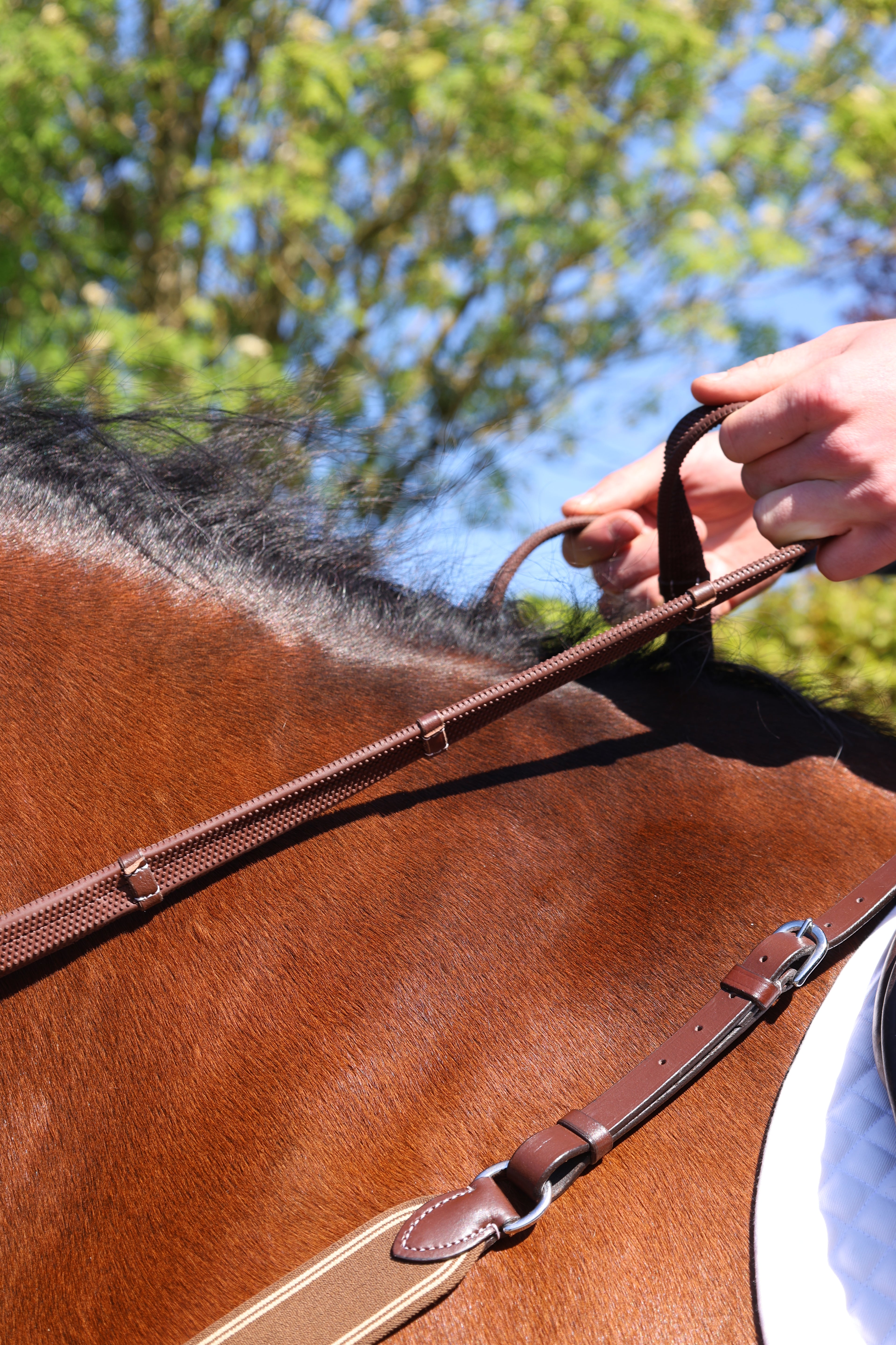 Tesoro Rubber Reins
