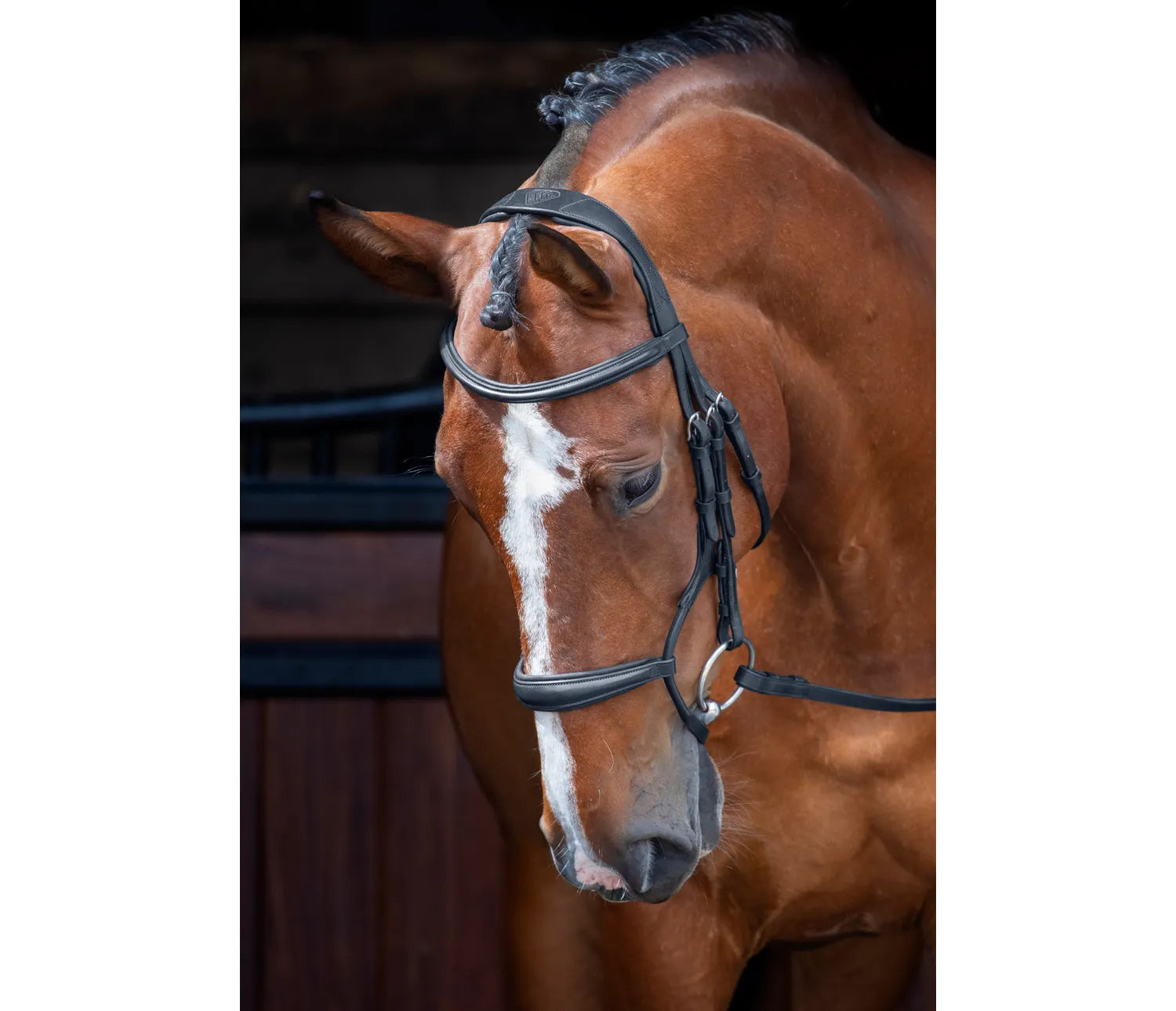 Velociti RAPIDA Rolled Padded Cavesson Bridle