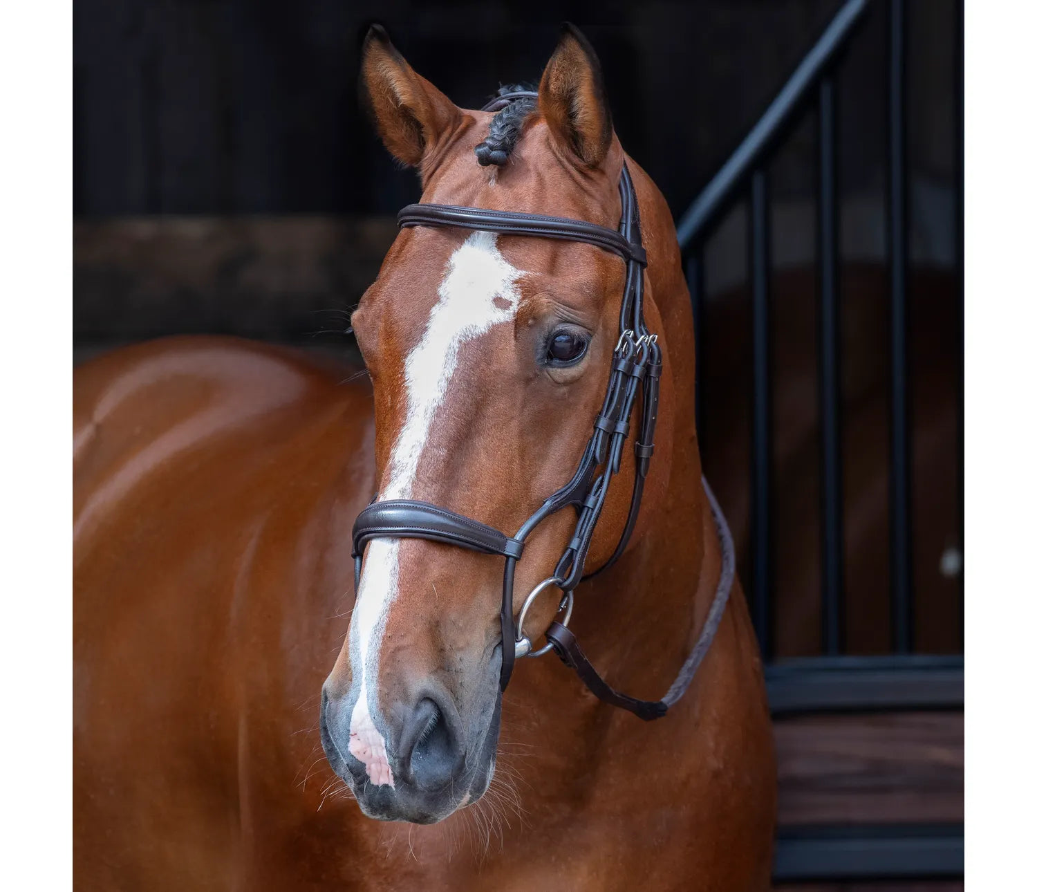 Velociti RAPIDA Rolled Padded Cavesson Bridle