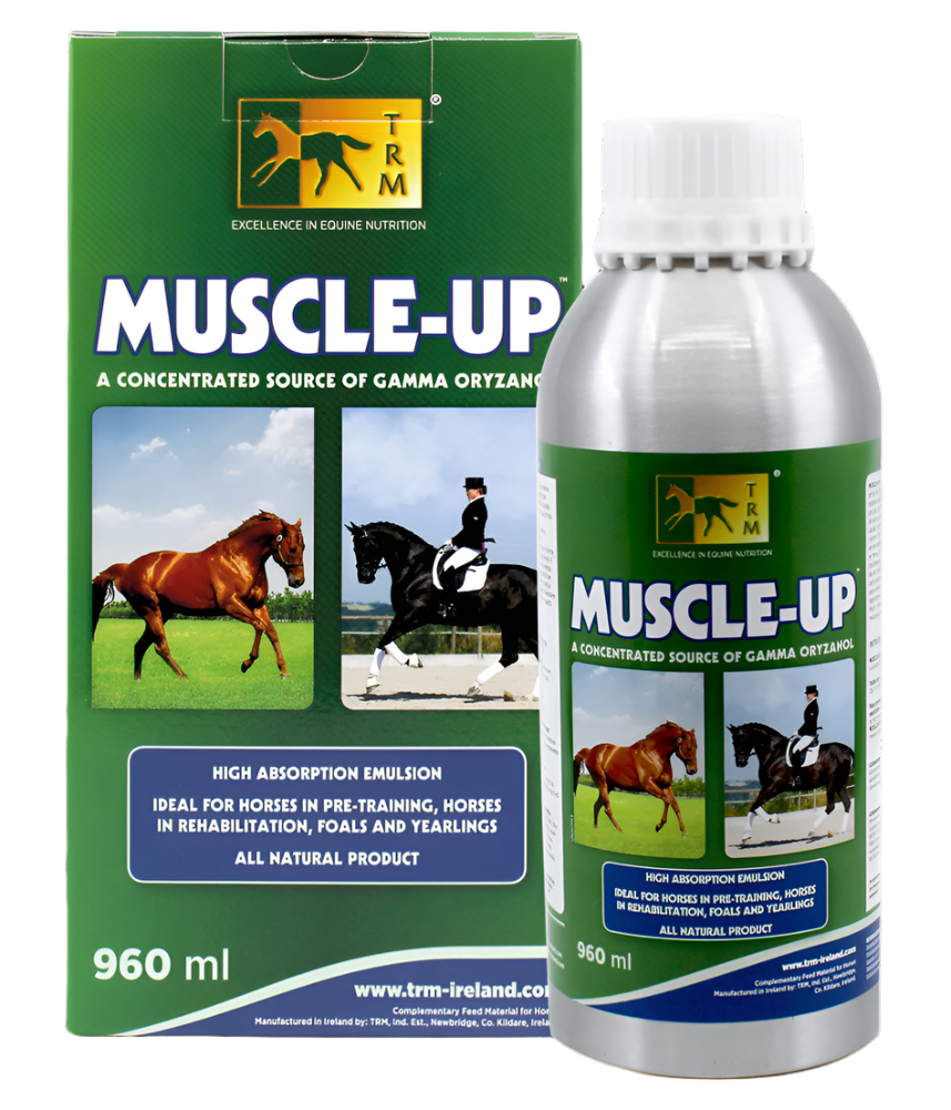 Muscle-Up Liquid