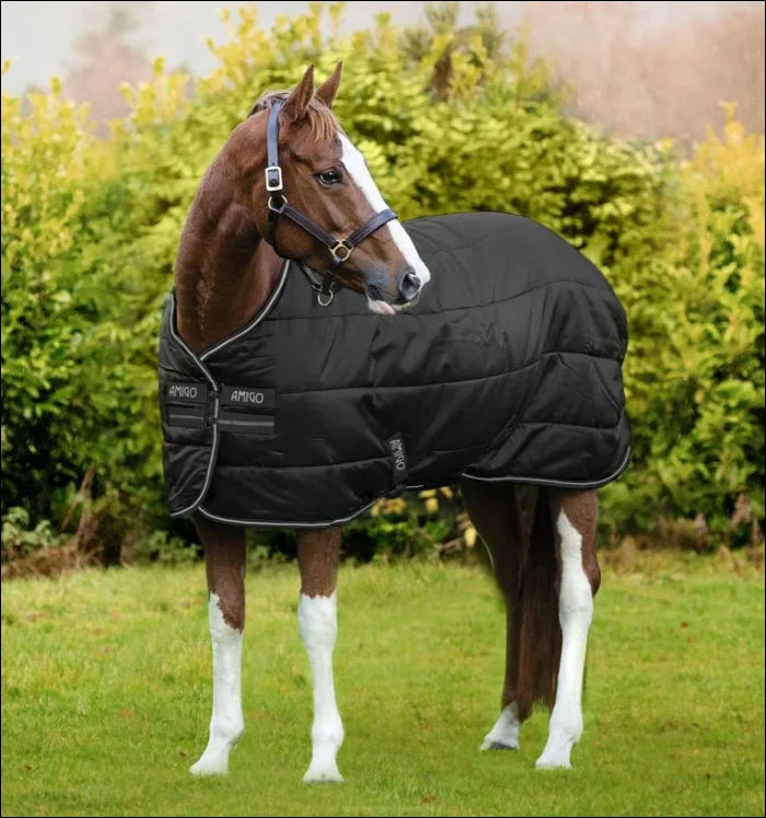 Amigo Bravo 12 Plus Turnout Bundle Rug (50g + 100g + 200g)