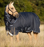 Amigo Bravo12 Plus Turn Out Lite Navy Rug