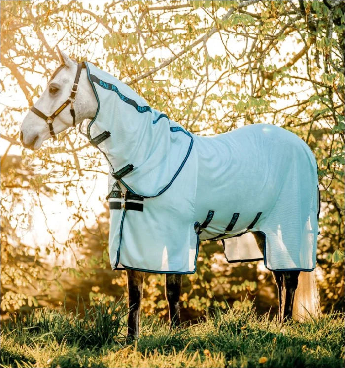 Amigo Bug Buster Plus Fly Rug Azure Blue/Navy & Blue