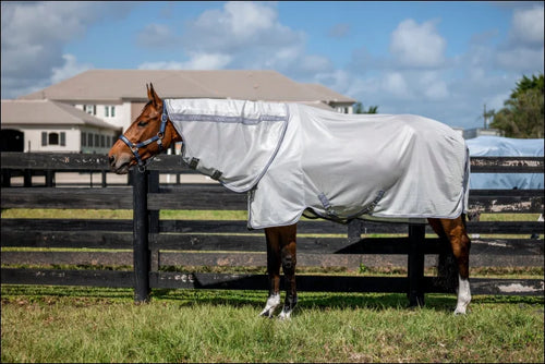 Amigo Bug Rug Plus Pony Silver/Titanium Grey & Silver