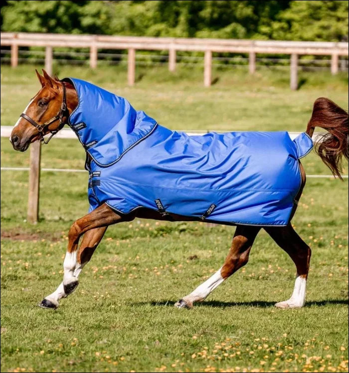 Amigo Hero Ripstop Plus 100g Turnout Rug Blue/Navy/Grey