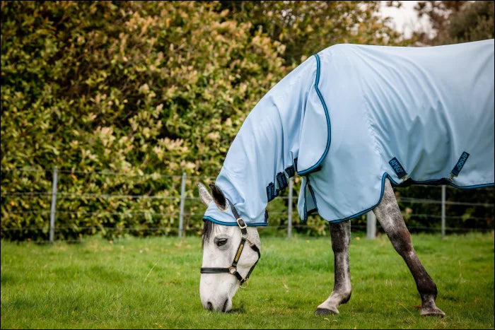 Amigo Ripstop Pony Hoody Azure Blue/Navy & Blue