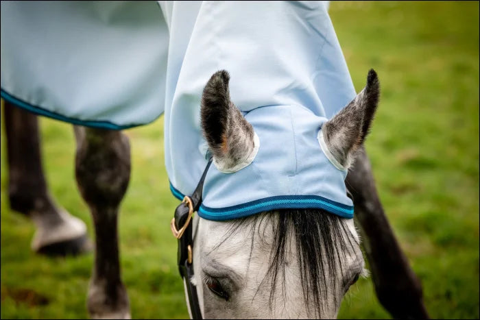 Amigo Ripstop Pony Hoody Azure Blue/Navy & Blue