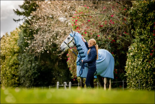 Amigo Ripstop Pony Hoody Azure Blue/Navy & Blue
