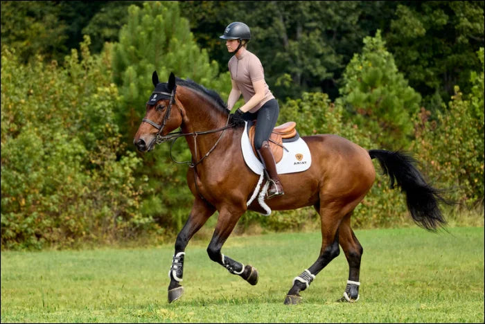 Ariat Women’s Soquel 1/4 Zip Short Sleeve Baselayer