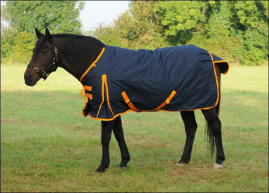 TRI Equestrian Arkle Heavy Weight Turnout Rug with Standard