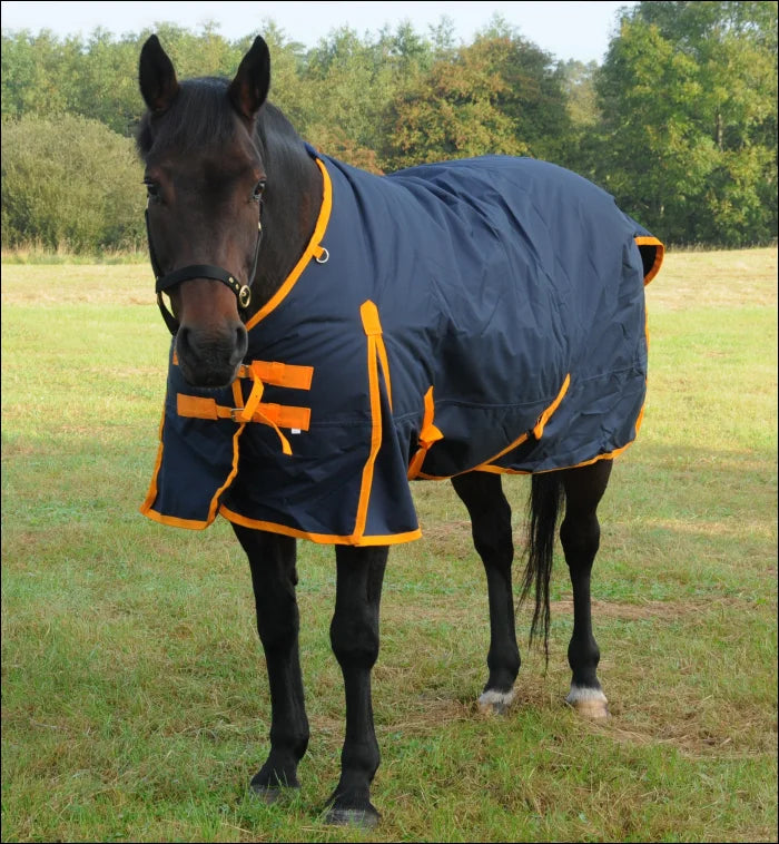 Arkle Heavy Weight Turnout Rug with Standard Neck - 350g