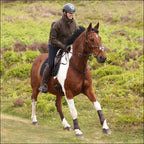 Aubrion Unisex Heritage Quarter Zip Jacket Dark Olive