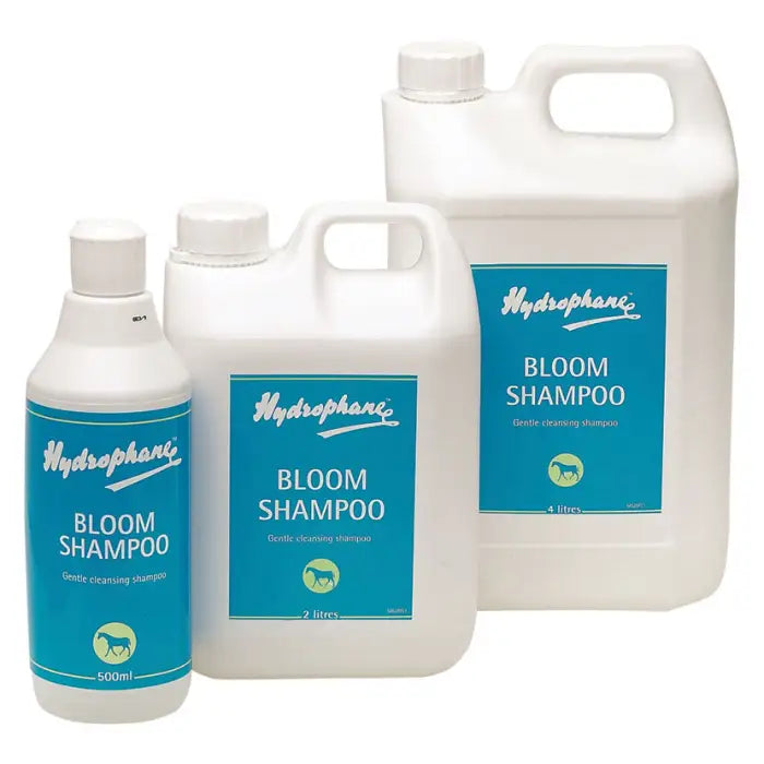 Bloom Coat Shampoo