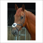Breeze Up Grackle Noseband - Cob / Black