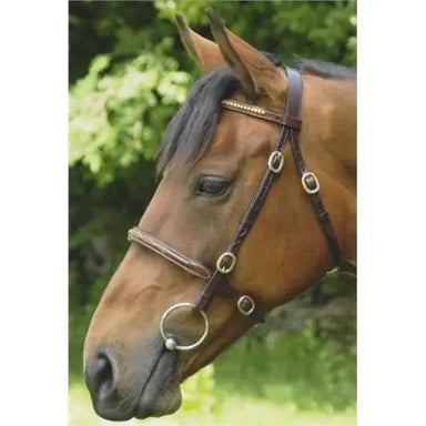 Breeze Up In - hand Showing Bridle - Pony / Brown