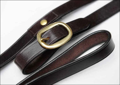 Breeze Up Leather Lead - Brown - 1.8mm