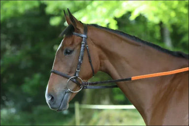 Breeze Up Race Bridle No Reins