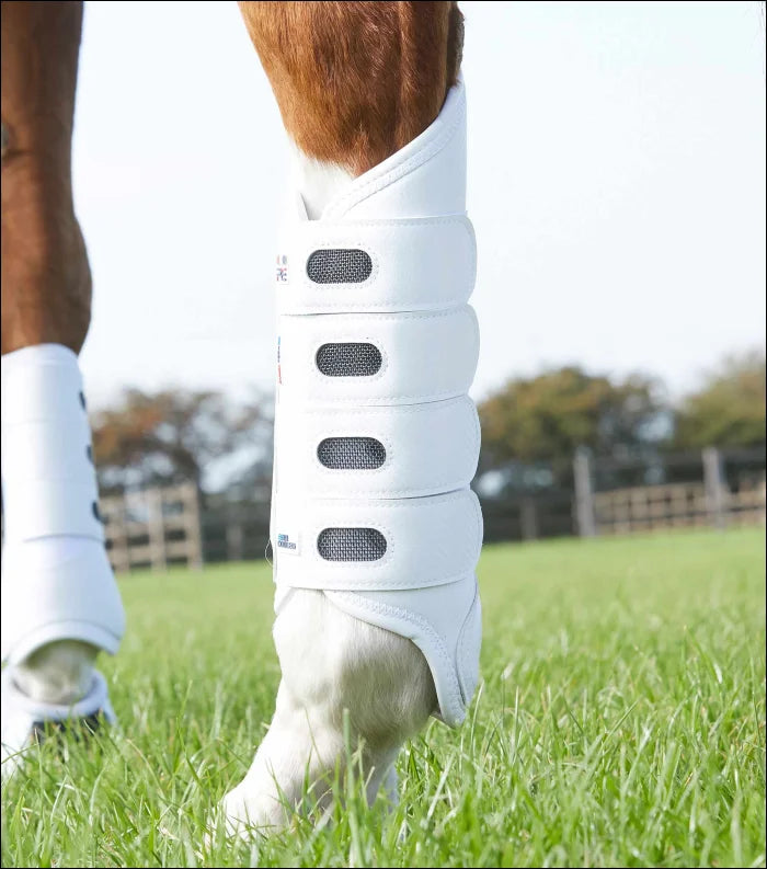 Carbon Tech Air Cooled Eventing Boots Hind