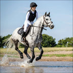 Charles Owen Phoenix Jockey Skull Riding Helmet