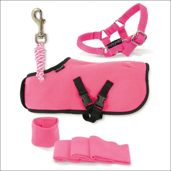 Crafty Ponies Rug Set - Pink