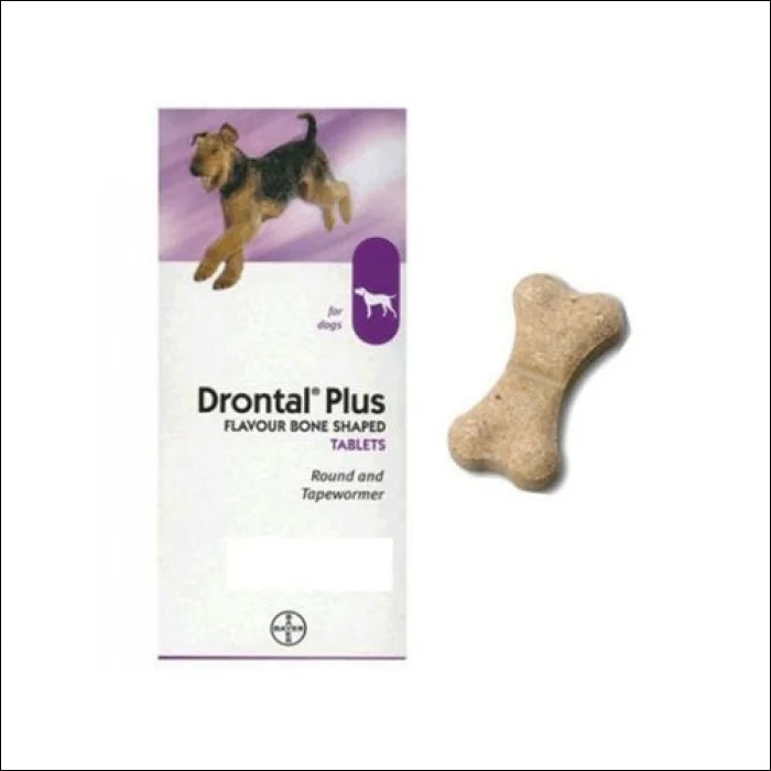 Drontal Plus Dog Wormer Bayer £6.50 TRI Equestrian NI