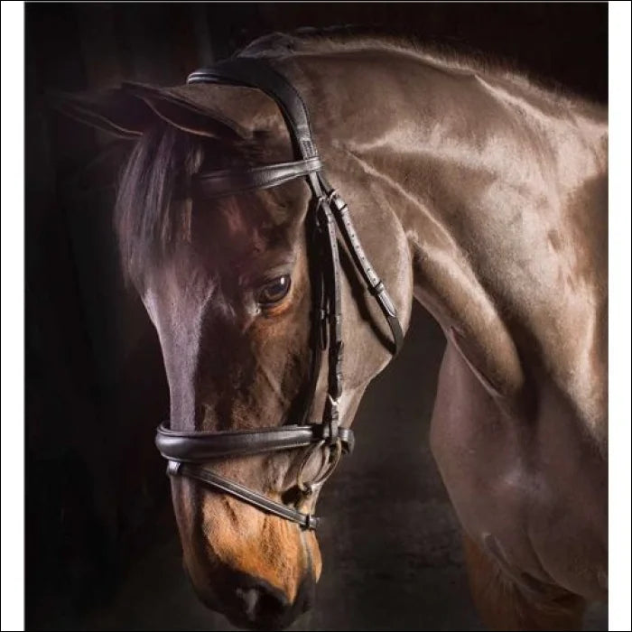 EcoRider Ecolux Bridle - Brown