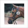 Equidisc Bridle Number Holder