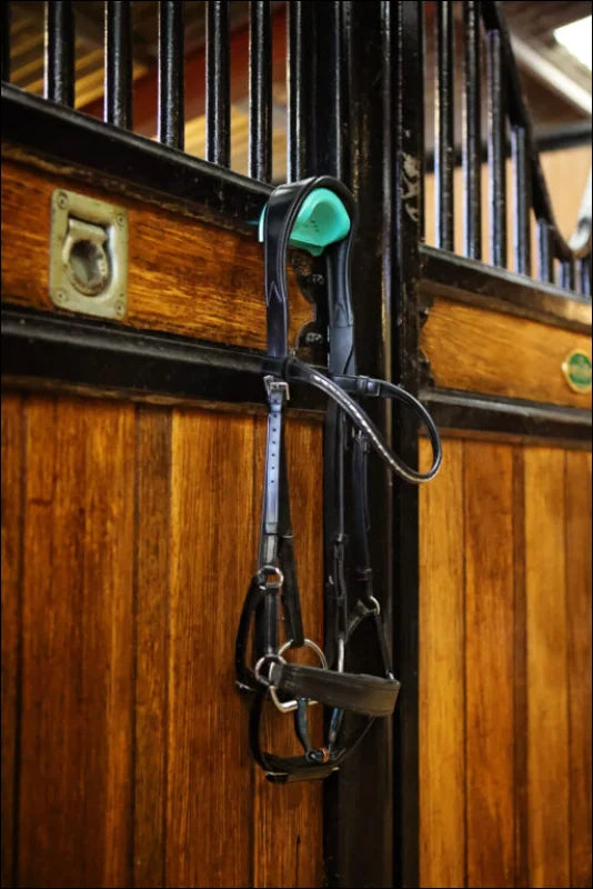 EquiHook Magnetic Bridle Holder