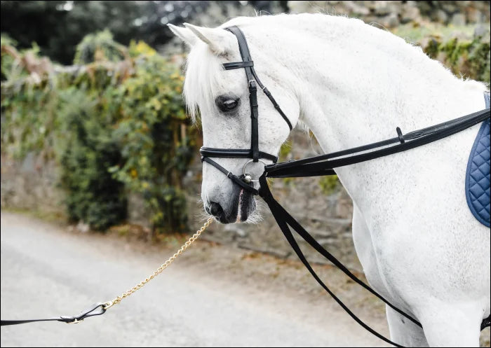 Equisential Nylon Padded Draw Reins