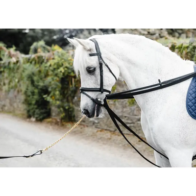 Equisential Nylon Padded Draw Reins