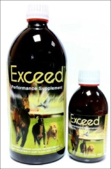 Exceed - 1L