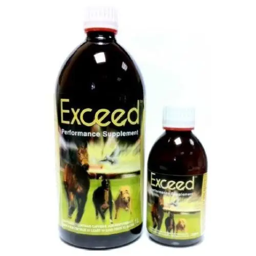 Exceed - 1L