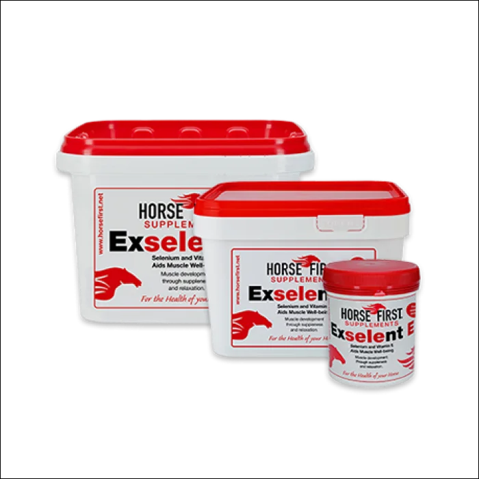 Excelent E - 3Kg - Pet Vitamins & Supplements