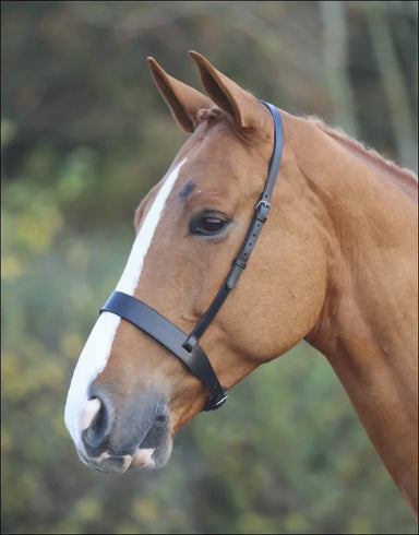 Flat Hunt Noseband X-wide - Black