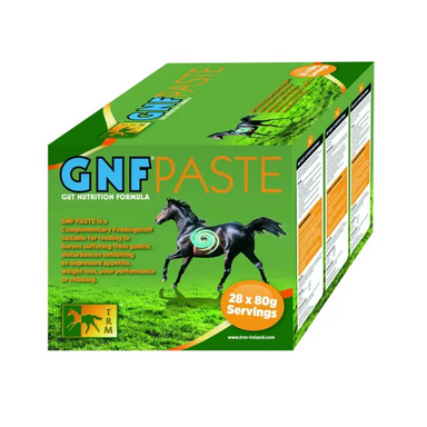 GNF Paste - 80gx28