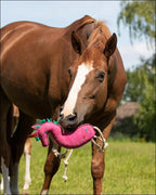 Horse Toy - Assorted