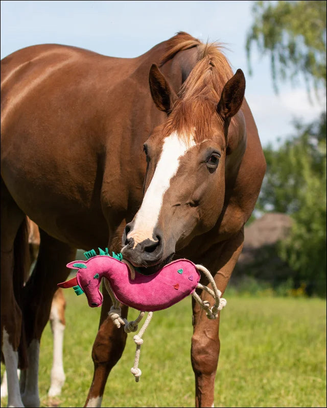 Horse Toy - Assorted