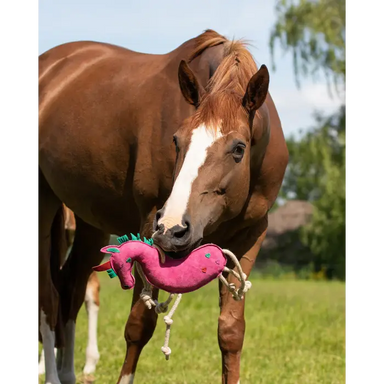 Horse Toy - Assorted