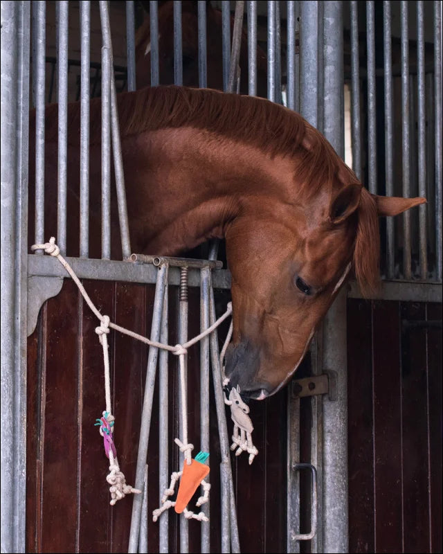 Horse Toy Box Hanger Horse/Unicorn/Carrot