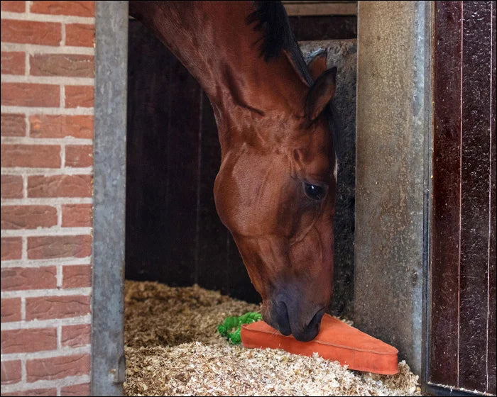 Horse Toy XL Carrot