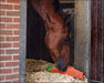 Horse Toy XL Carrot