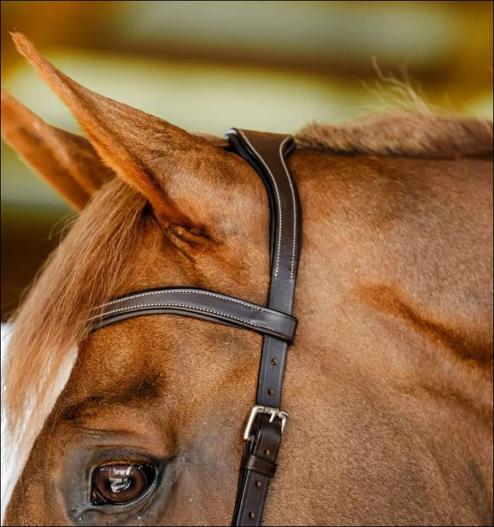 Horseware Micklem Competition Bridle