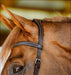 Horseware Micklem Competition Bridle