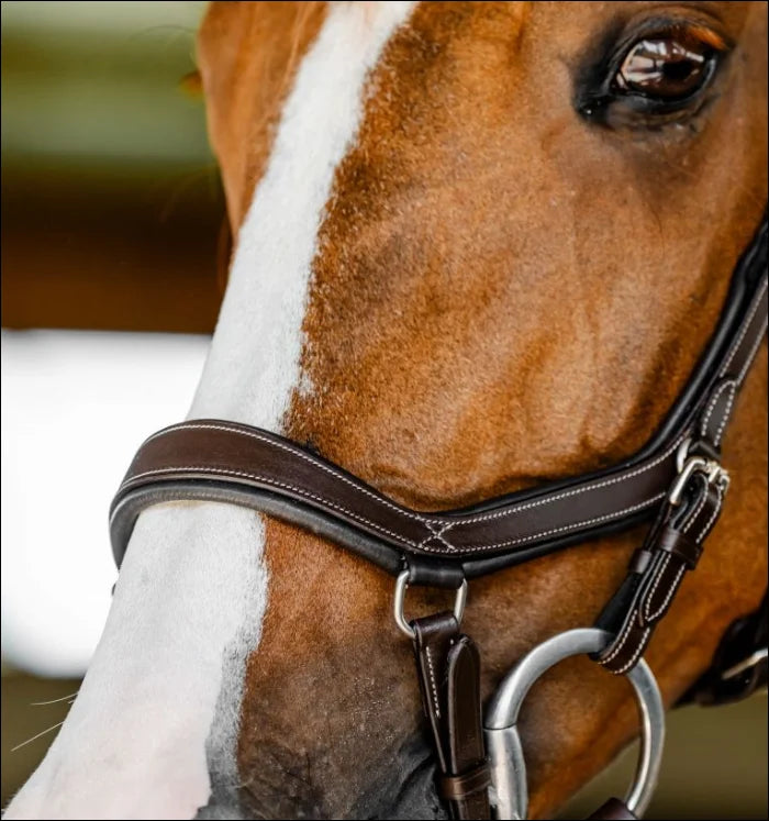 Horseware Micklem Competition Bridle