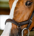 Horseware Micklem Competition Bridle