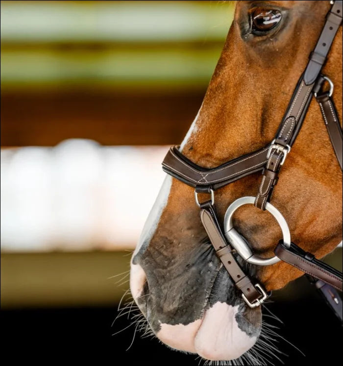 Horseware Micklem Competition Bridle