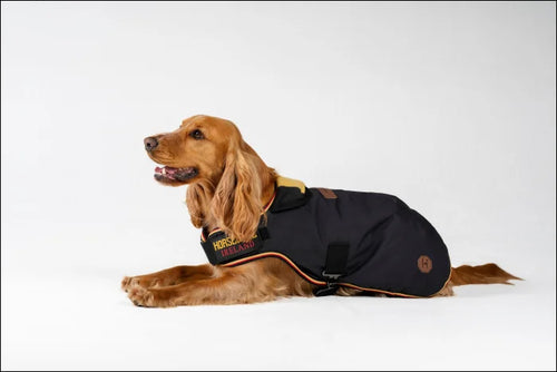 Horseware Newmarket Dog Coat Witney Gold